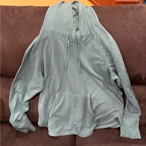 DSG Sage Green Hoodie